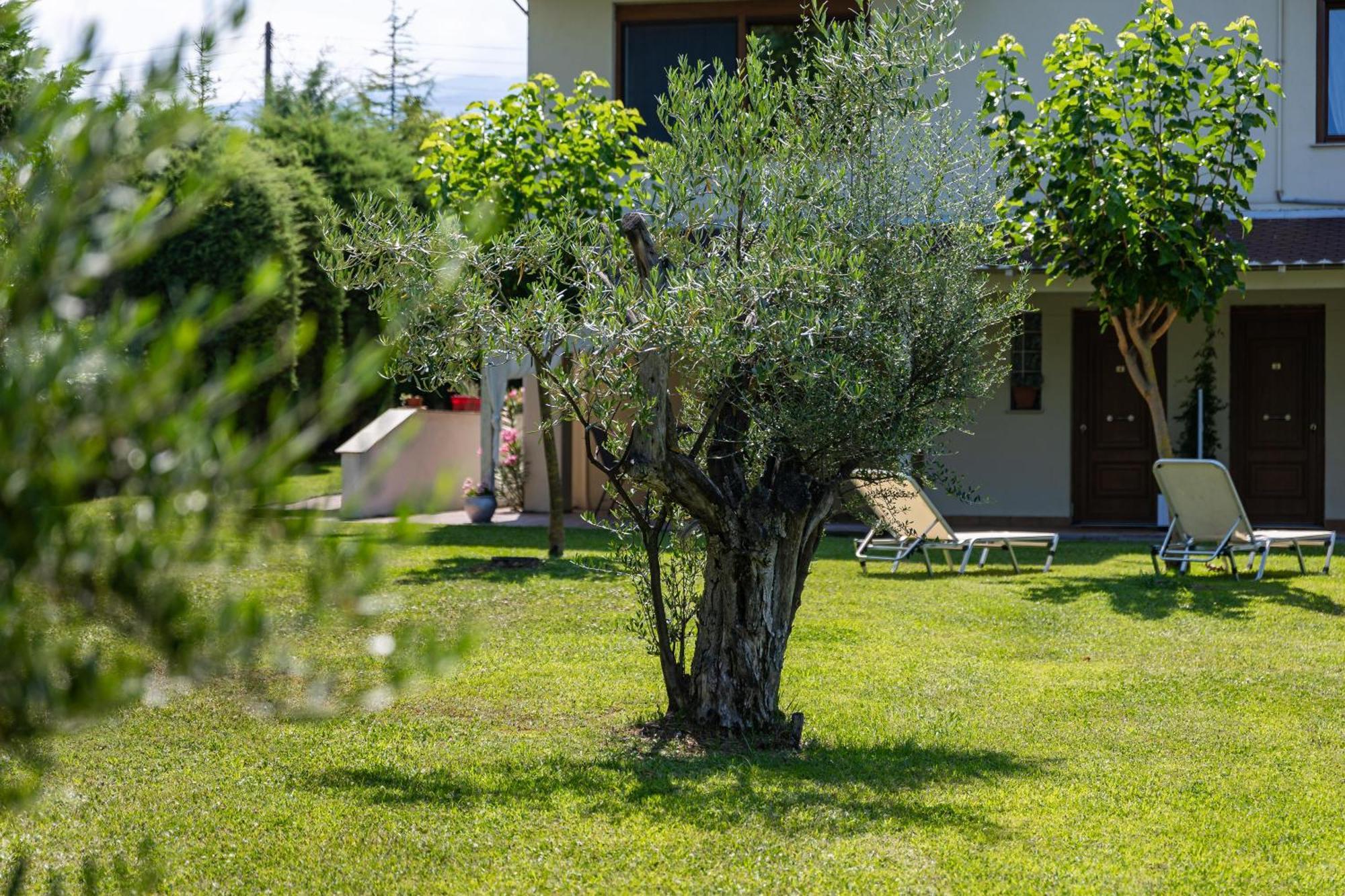 The Olympus Garden Beach House Λιτόχωρο Εξωτερικό φωτογραφία